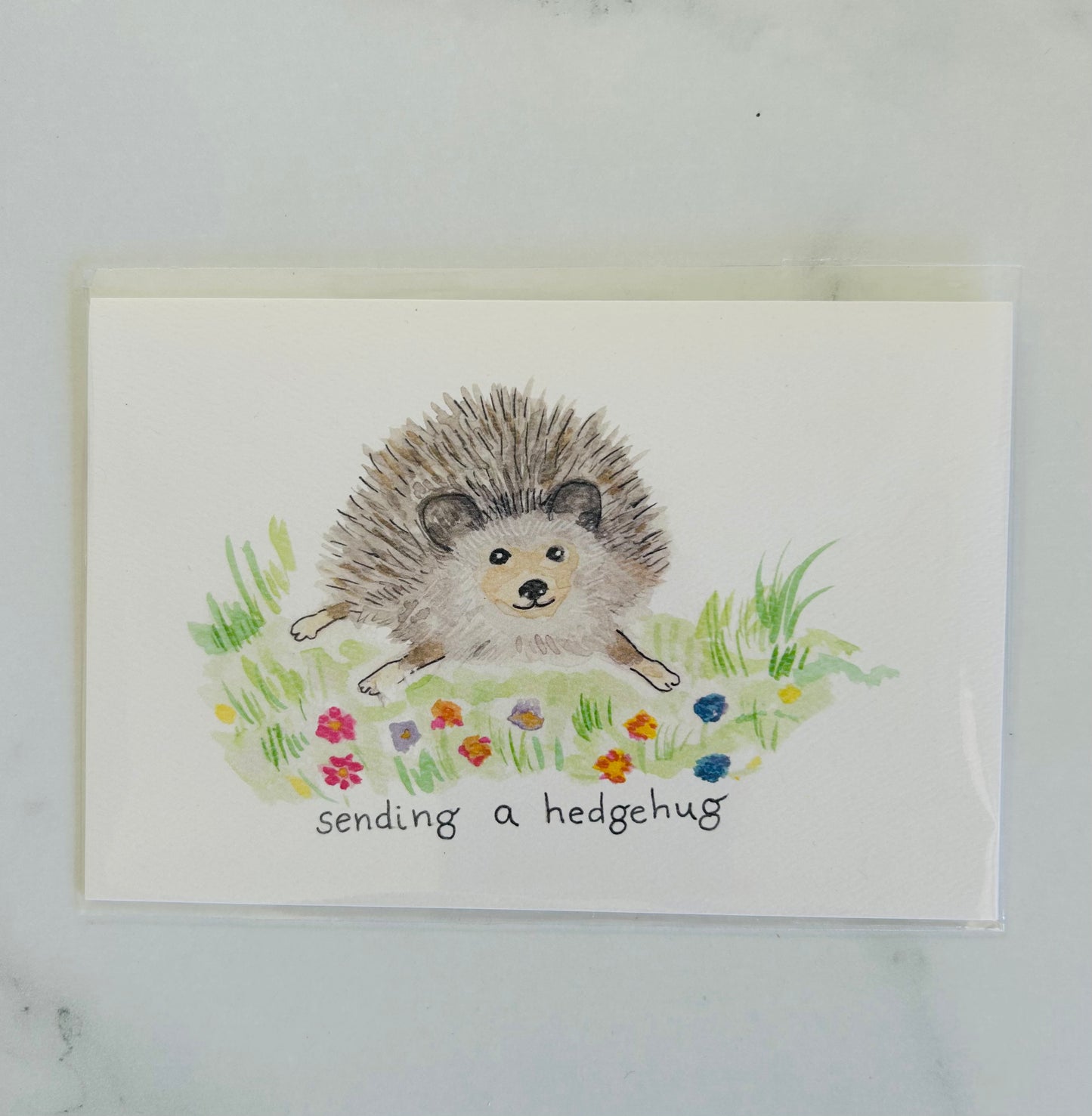 Hedgehug
